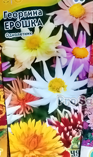 Георгина Ерошка Гавриш