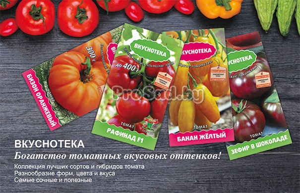 Семена томатов серии Вкуснотека почтой по Беларуси