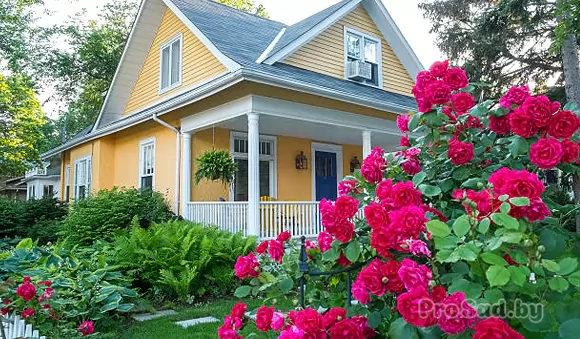 Черенкование садовых растений в июле