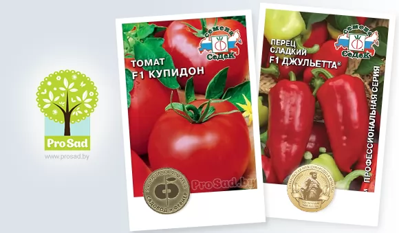 Новые сорта томатов и перцев от СеДеК
