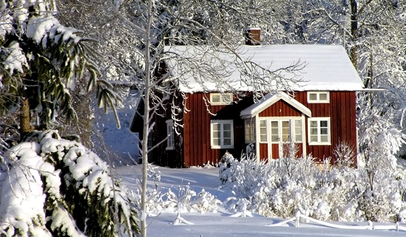 Садовые работы в феврале