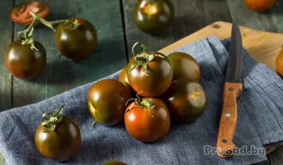 Шоколадные томаты от агрофирмы Гавриш