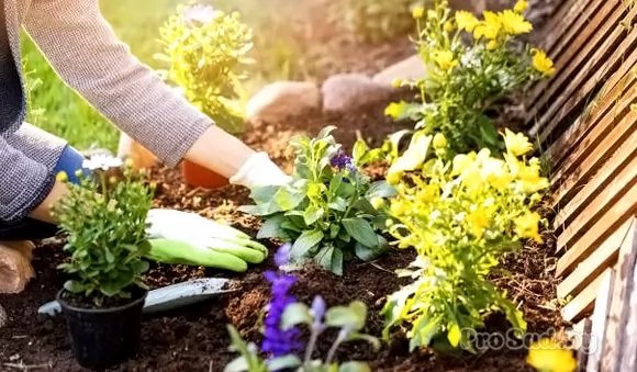 Готовим сад к новому сезону весной