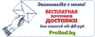Купить семена с бесплатной доставкой почтой по Беларуси