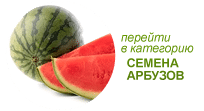 Купить семена арбуза