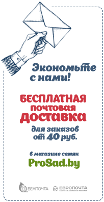 Купить семена с бесплатной доставкой почтой по Беларуси
