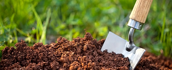 Осенняя обработка почвы на дачном участке