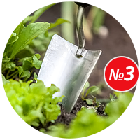 Полив растений