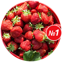 Совет №1: Клубника Купить семена клубники