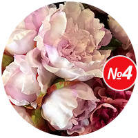 Совет №4: Пионы Купить семена цветов