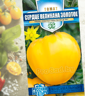 Семена томата Сердце великана Золотое
