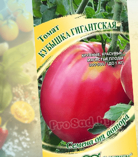 Семена томата Кубышка гигантская