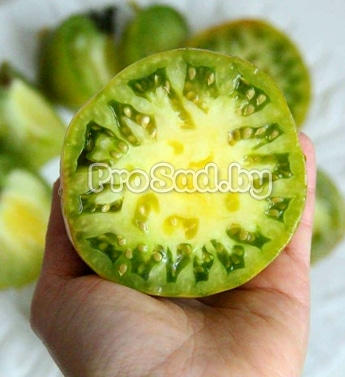 Помидор Малахитовая шкатулка на участке фирмы Сибирский сад