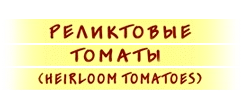 Семена реликтовых томатов