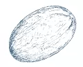 Семена дыни