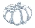 Семена тыквы