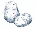Семена картофеля