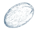 Семена дыни
