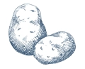Семена картофеля