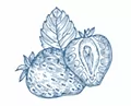 Семена клубники и земляники