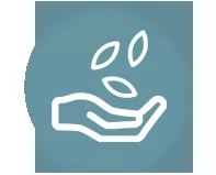 Купить польские семена в Минске почтой по Беларуси