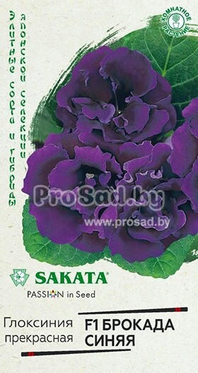 Купить семена Глоксинии Брокада Синяя почтой по Беларуси в Минске в ...