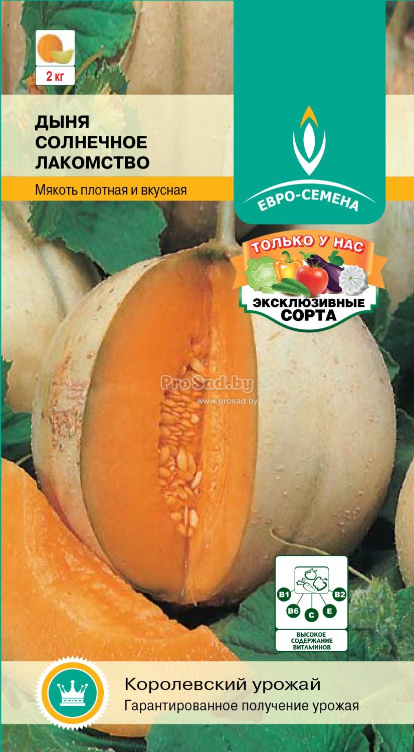 Семена дыни аэлита. Дыня пино. Калахарская дыня. Дыня голден джейд. Muskmelon.