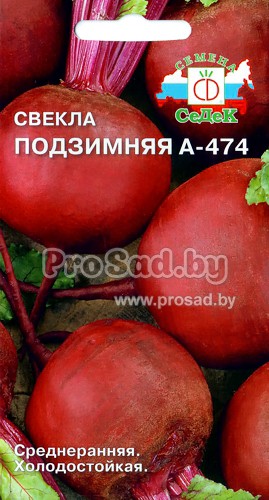 Свекла Подзимняя А 474