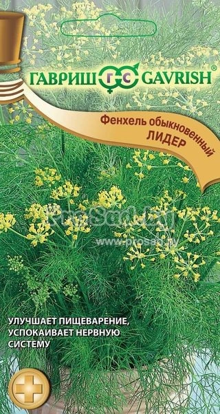 Купить семена фенхеля в Минске почтой по Беларуси в каталоге семян ...