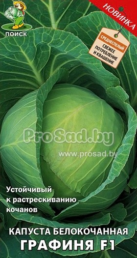 Капуста Графиня