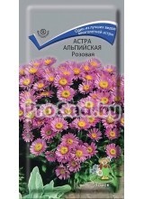 Астра альпийская Розовая