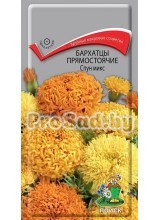 Бархатцы прямостоячие Спун микс