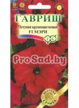 Петуния крупноцветковая F1 Мэри