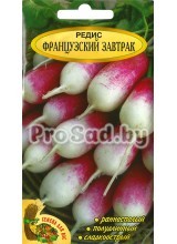 Редис Французский завтрак (Польша)