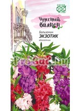 Бальзамин карликовый Экзотик, смесь