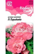 Бегония клубневая F1 Парижанка