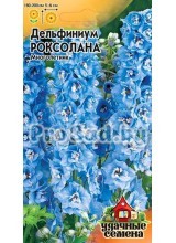 Дельфиниум культурный Роксолана
