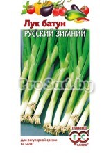 Лук батун Русский зимний