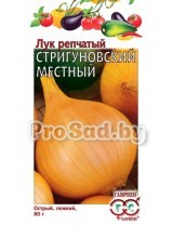 Лук репчатый Стригуновский местный