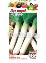 Лук порей Жираф
