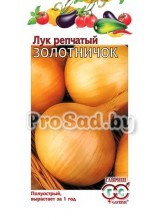 Лук репчатый Золотничок
