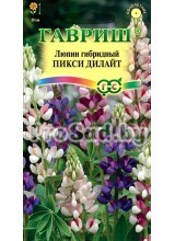 Люпин гибридный Пикси дилайт