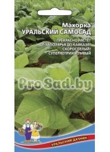 Махорка Уральский самосад