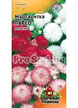 Маргаритка Парео, смесь