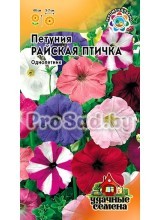 Петуния многоцветковая Райская птичка, смесь