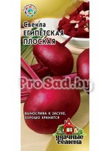 Свекла Египетская плоская