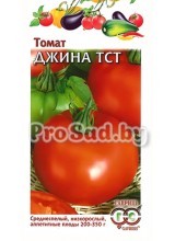 Томат Джина ТСТ