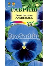 Виола Виттрока (Анютины глазки) Альпензее