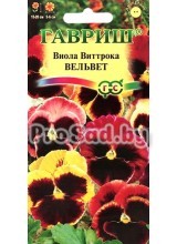 Виола Виттрока (Анютины глазки) Вельвет, смесь