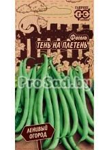 Фасоль спаржевая Тень на плетень